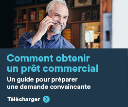 Livre numérique: Comment obtenir un prêt commercial