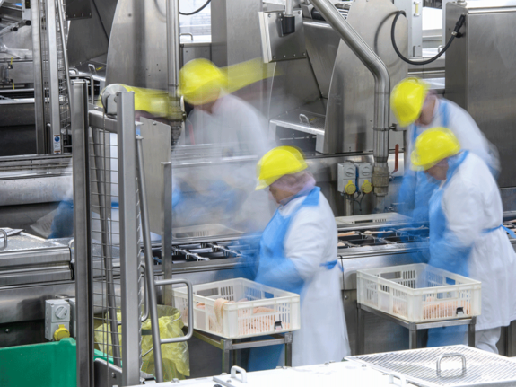 Personnes portant une tenue bleue avec des casques jaunes travaillant dans une chaîne alimentaire