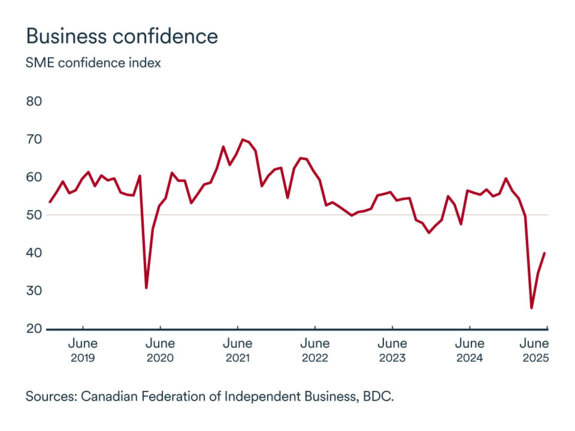 MEL graph: SME confidence